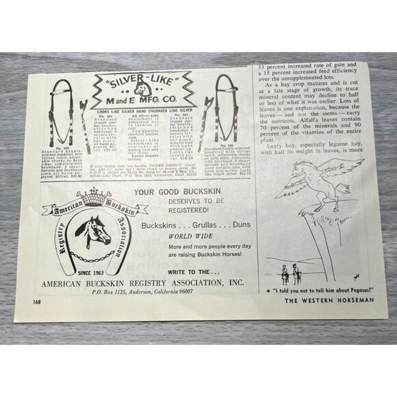 Pinto Horse Breeders Association Vintage Print Ad 1970s Horse Registry San Diego - Picture 3 of 6